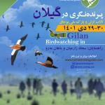 پرنده نگری در گیلان| 2 روزه 29 و 30 دی 1401