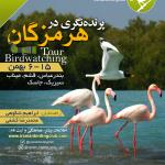 سفر پرنده‌نگری هرمزگان | 6 تا 15 بهمن 1401