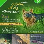 برنامه مشاهده حیات وحش (پستانداران و پرندگان) در پرور و رودبارک | 28 و 29 اردیبهشت 1402