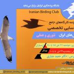 کارگاه‌ شناسایی کاکایی‌های ایران | 2 جلسه تئوری و عملی (دی 1402)