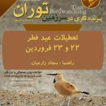 پرنده‌نگری در پارک ملی توران (به دیدار زاغ بور)