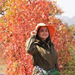 مریم سلیمانی