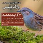پرنده نگری شهری در پارک پلیس | 30 آذر 1403