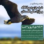 پرنده‌نگری در پناهگاه حیات وحش میانکاله و پارک ملی گلستان | 21 تا 25 دی 1403
