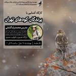 کارگاه آشنایی با پرندگان کوه‌های تهران