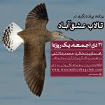 برنامه پرنده‌نگری دوستانه در تالاب عشق‌آباد | جمعه 21 دی 1403
