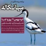پرنده‌نگری در پناهگاه حیات وحش میانکاله | 4 و 5 بهمن 1403