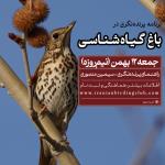 پرنده‌نگری در باغ گیاه‌شناسی | جمعه 12 بهمن 1403