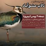 برنامه پرنده‌نگری دوستانه در تالاب عشق‌آباد | جمعه 19 بهمن 1403