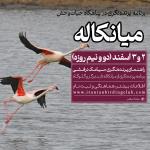 پرنده‌نگری در پناهگاه حیات وحش میانکاله | 2 و 3 اسفند 1403