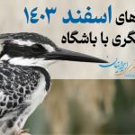سفرهای باشگاه در اسفند 1403