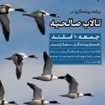 برنامه پرنده‌نگری در تالاب صالحیه | جمعه 10 اسفند 1403