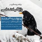 پرنده‌نگری در باغ گیاه‌شناسی | پنجشنبه 9 اسفند 1403
