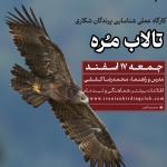 کارگاه عملی شناسایی پرندگان شکاری - تالاب مره | 17 اسفند 1403