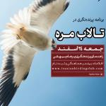 برنامه پرنده‌نگری در تالاب مره | جمعه 24 اسفند 1403