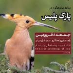 برنامه پرنده نگری نوروزی در پارک پلیس | 8 فروردین 1404