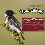 سفر پرنده‌نگری در حاشیه رودخانه و سد نمرود | 12 فروردین 1404