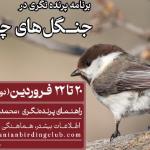 پرنده‌نگری در جنگل‌های چلاو | 20 تا 22 فروردین 1404 