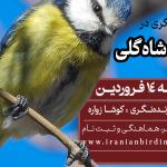 پرنده‌نگری در بوستان شاه گلی (تبریز) | 14 فروردین 1404