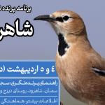 پرنده نگری در شاهرود (به دنبال زاغ بور) | 4 و 5 اردیبهشت