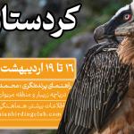 سفر پرنده نگری در اردیبهشت کردستان | 16 تا 19 اردیبهشت 1404
