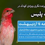 برنامه پرنده نگری برای کودکان در پارک پلیس | 12 اردیبهشت 1404