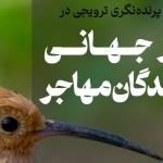 برنامه پرنده‌نگری ترویجی در روز جهانی پرندگان مهاجر