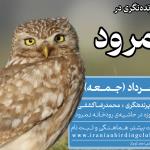 سفر پرنده‌نگری در حاشیه رودخانه و سد نمرود | 23 خرداد 1404