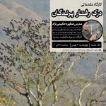 کارگاه مقدماتی درک رفتار پرندگان (حضوری) | 3 بهمن 1403