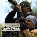 کارگاه مقدماتی عکاسی از پرندگان (حضوری) | 7 بهمن 1403