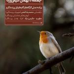 برنامه‌ی عملی گام‌های اول پرنده‌نگری | 3 بهمن 1403