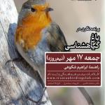 پرنده‌نگری در باغ گیاهشناسی به مناسبت روز جهانی پرندگان مهاجر | جمعه 17 مهر 1405