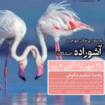 به دیدار پرندگان مهاجر در آشوراده (میانکاله) | 29 مهر تا 1 آبان 1405