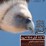 پرنده‌نگری با تمرکز بر دال‌نگری در آستارا | 6 تا 8 آبان 1405