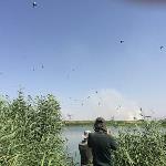 گزارش اولین سفر تخصصی پرنده نگری؛ ویژه اعضای رسمی باشگاه 95/04/04
