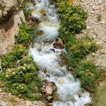 گزارش چهارمین سفر تخصصی پرنده نگری؛ ویژه اعضای  رسمی باشگاه 95/04/17