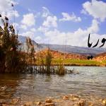 گوریا