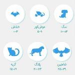 سطح بینایی شما مثل کدام جاندار است ؟