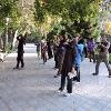 گزارش اولين تور رایگان ترویج پرنده نگري در پارک شهر تهران 94/7/30