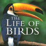  The Life of Birds