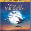   Winged Migration 