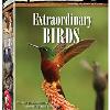 Extraordinary Birds