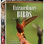 Extraordinary Birds