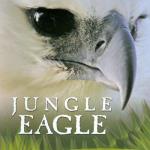 Jungle Eagle