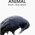 Inside Animal Minds: Bird Genius 