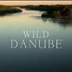 Wild Danube