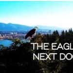 The Nature Of Things:The Eagles Next Door