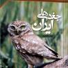 کتاب جغدهای ایران