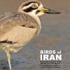 BIRDS of IRAN