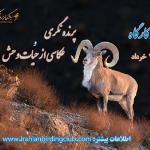 مسابقه و کارگاه عکاسی و پرنده نگری استان خراسان رضوی | 7روز از 10 تا 17 خرداد 